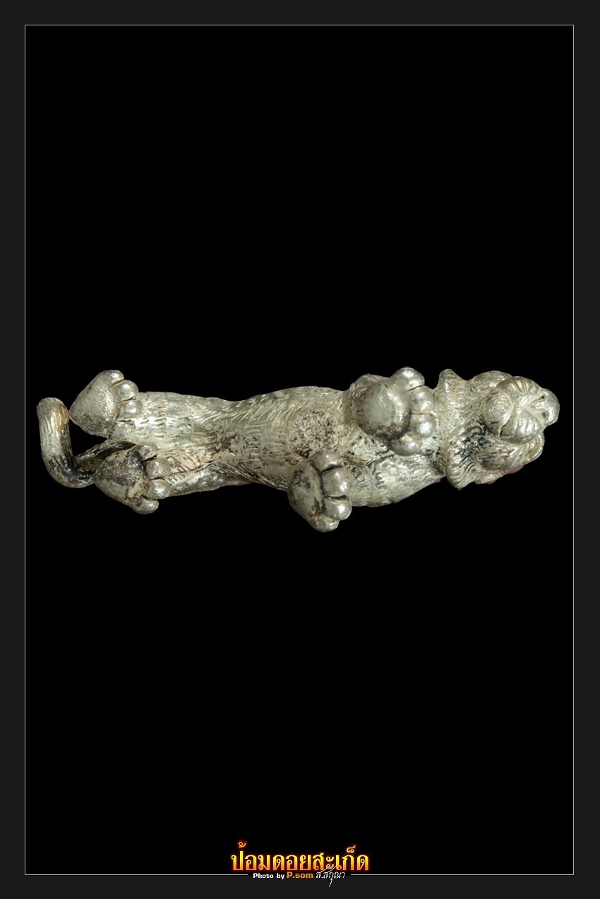 รูปหล่อเสือบารมี ครูบาเจ้าศรีวิไชย #5