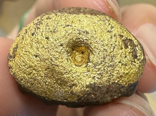 พระกริ่งพรายบัวผุด ปี2552