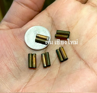 คอลเลคชั่น ตะกรุดสาริกา ครูบาวังวัดบ้านเด่น 