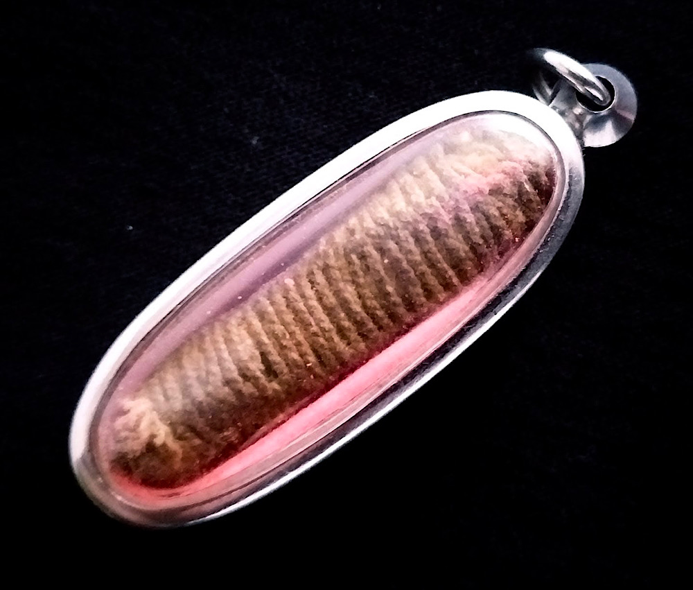 ตะกรุดหนังเสือ 