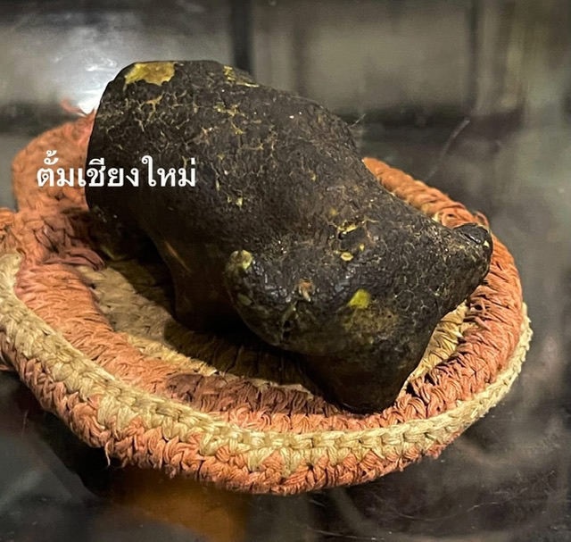 ควายธนูอาคม ดุดันเหนือใคร
