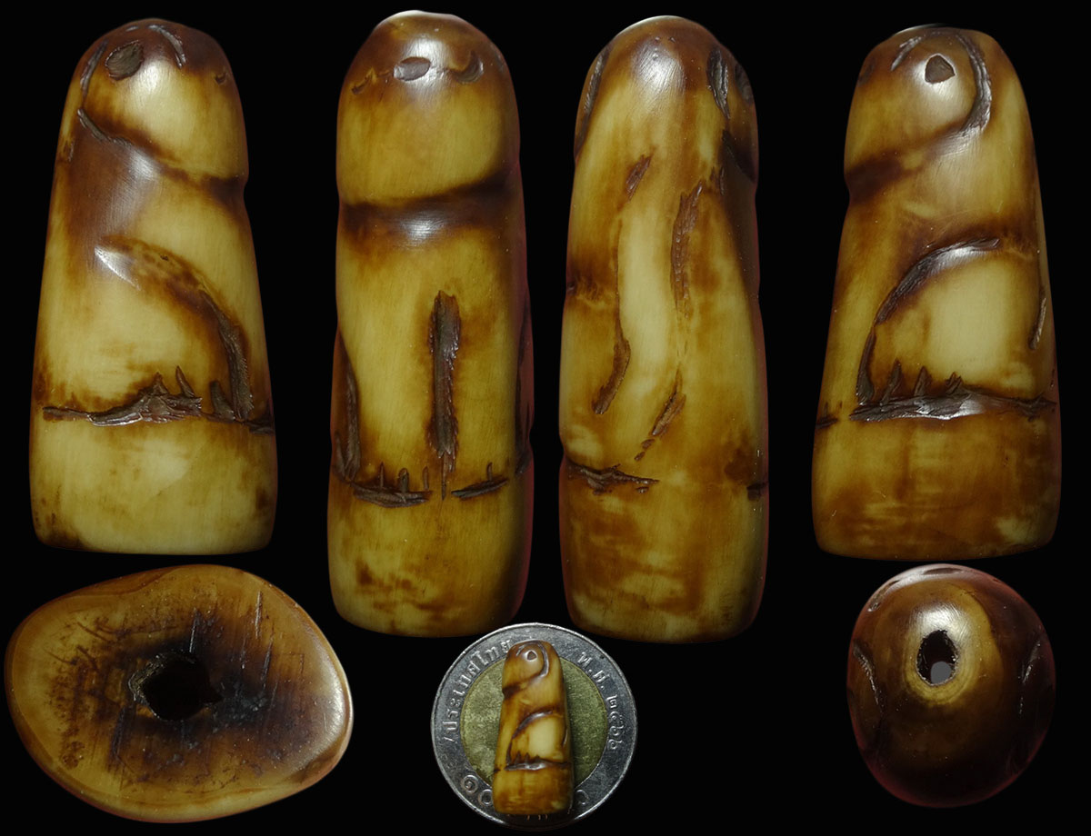 เสือสาริกา ปลายเขี้ยวเสือแกะ