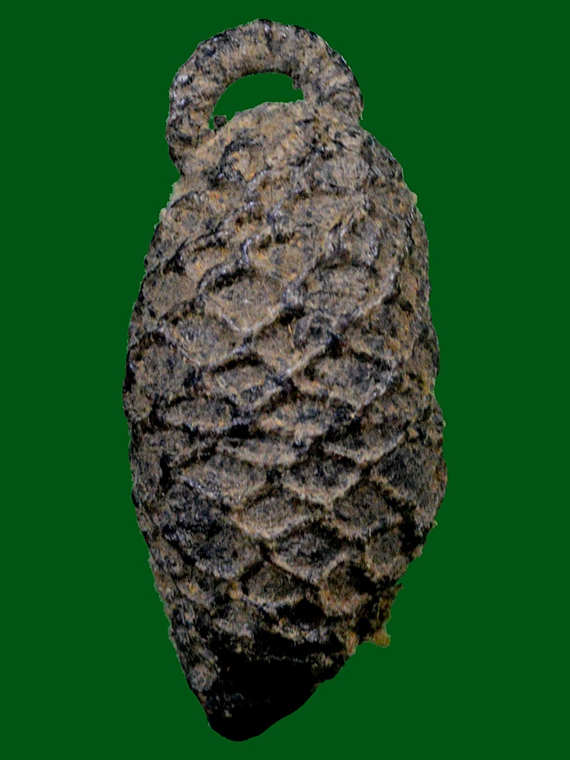 หมากทุนเก่าๆ ลงรักทักเชือก ไม่ทราบพระเกจ