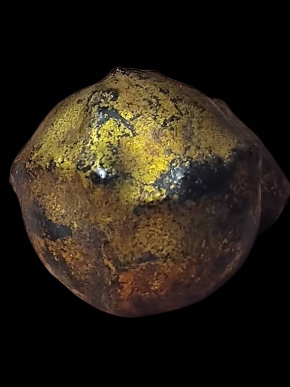 น้ำเต้ากันไฟ สังวราชุ่ม วัดพลับ กทม.