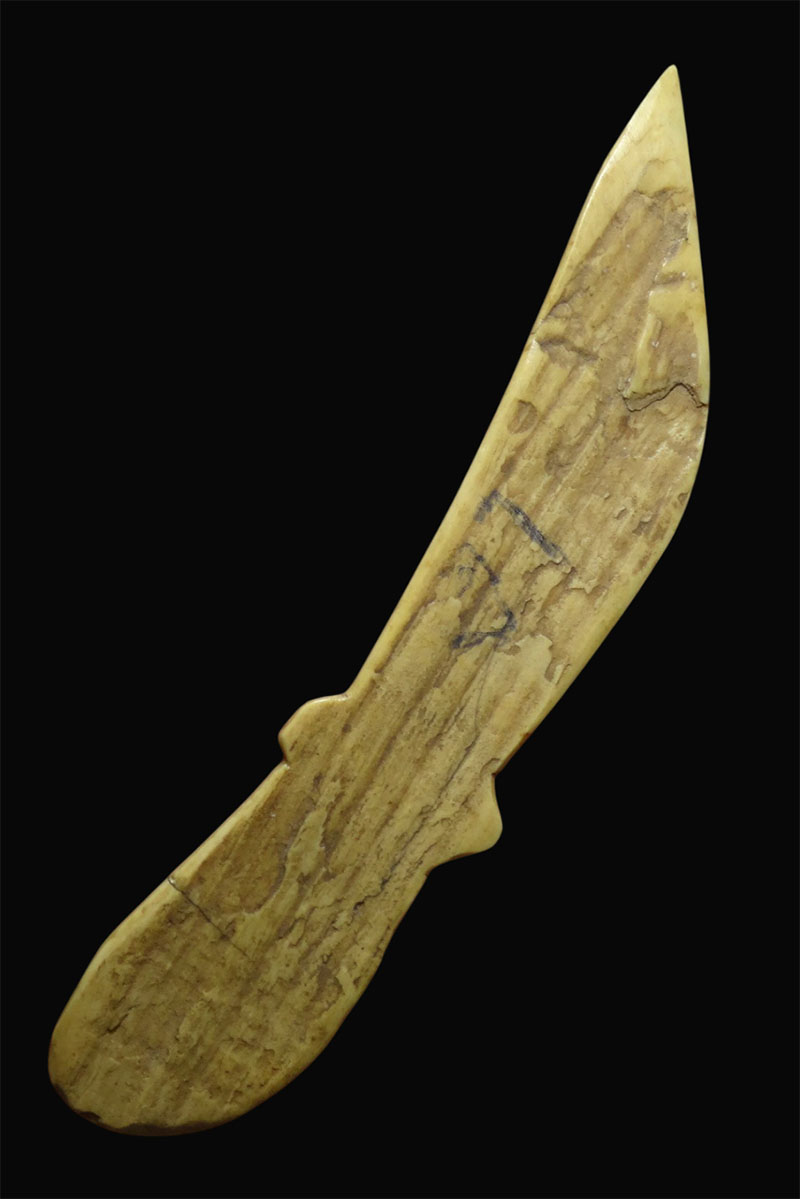 มีดหมอล้านนา งาแกะ 