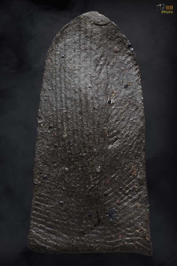 พระรอด วัดพระสิงห์ พิมพ์หน้าหนูใหญ่