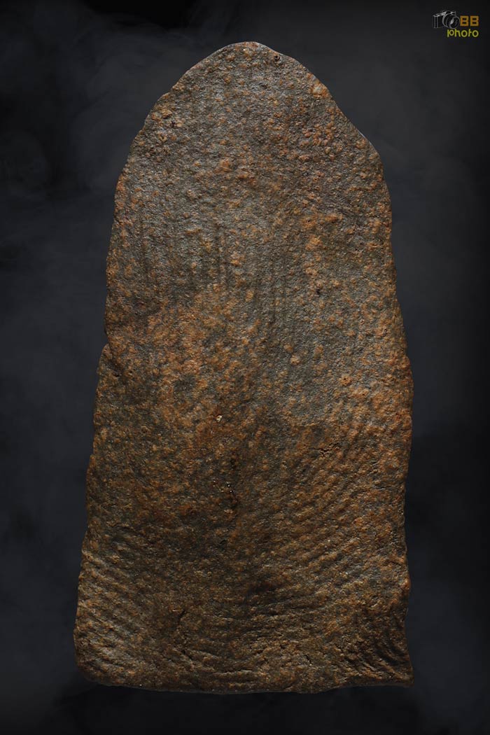 พระรอดวัดพระสิงห์ พิมพ์หน้าหนูใหญ่