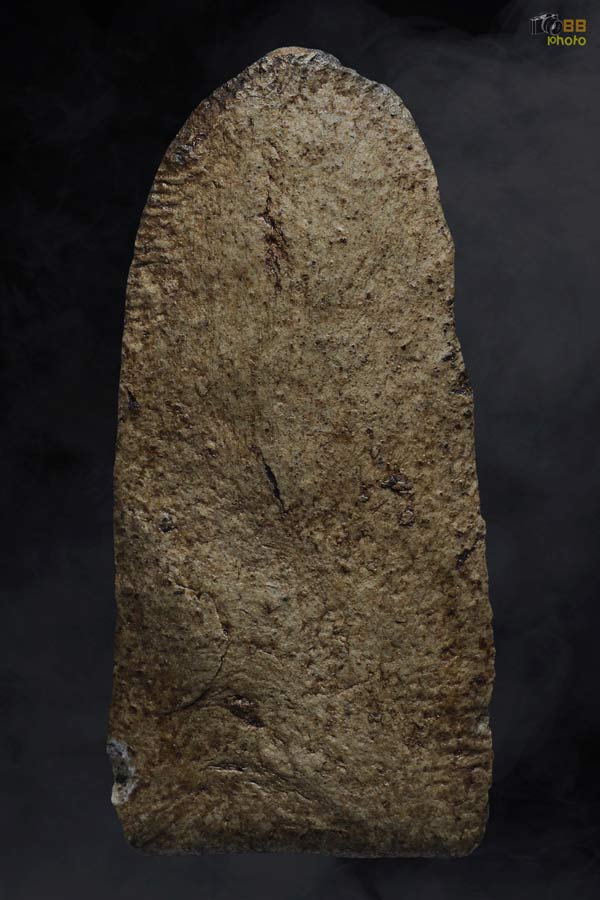 พระรอดวัดพระสิงห์ พิมพ์ใหญ่ก้นพับ