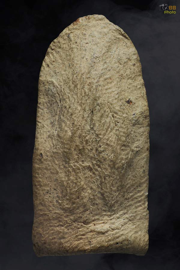 พระรอดวัดพระสิงห์ พิมพ์หน้าเทวดา