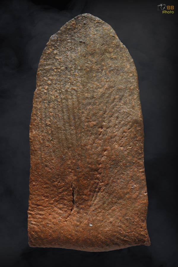 พระรอดวัดพระสิงห์ พิมพ์หน้าหนูใหญ่