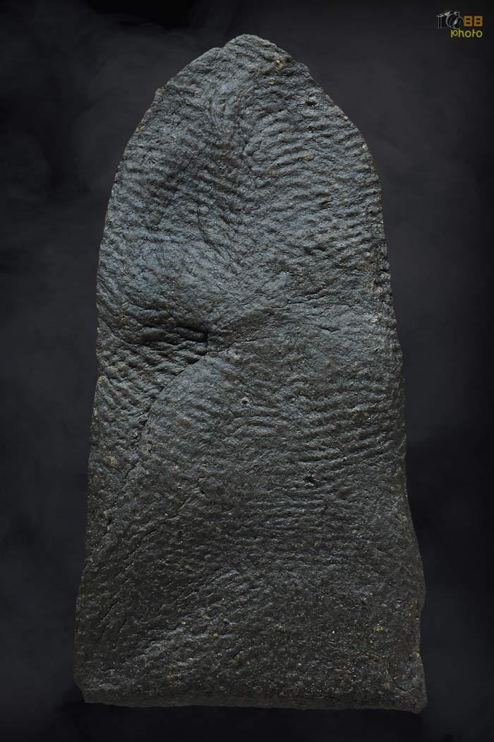 พระรอดวัดพระสิงห์ พิมพ์กลาง