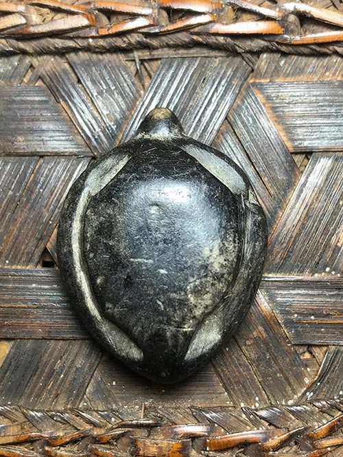 พญาเต่าเรือนล้านนา