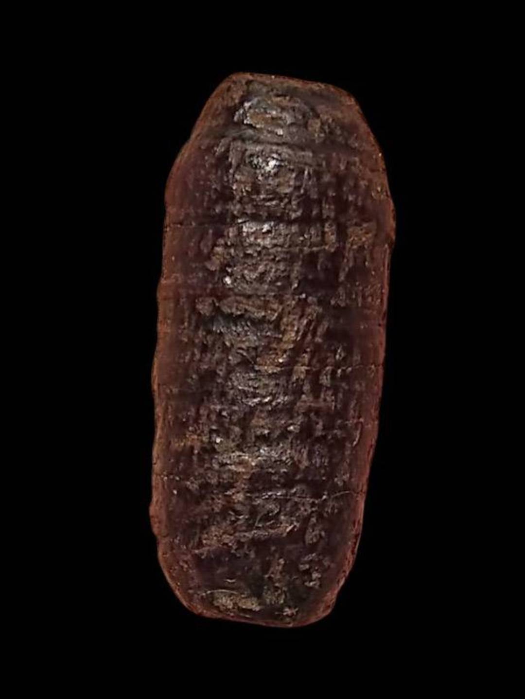 ตะกรุดหนังหน้าผากเสือ ลป.บุญ วัดกลางฯ