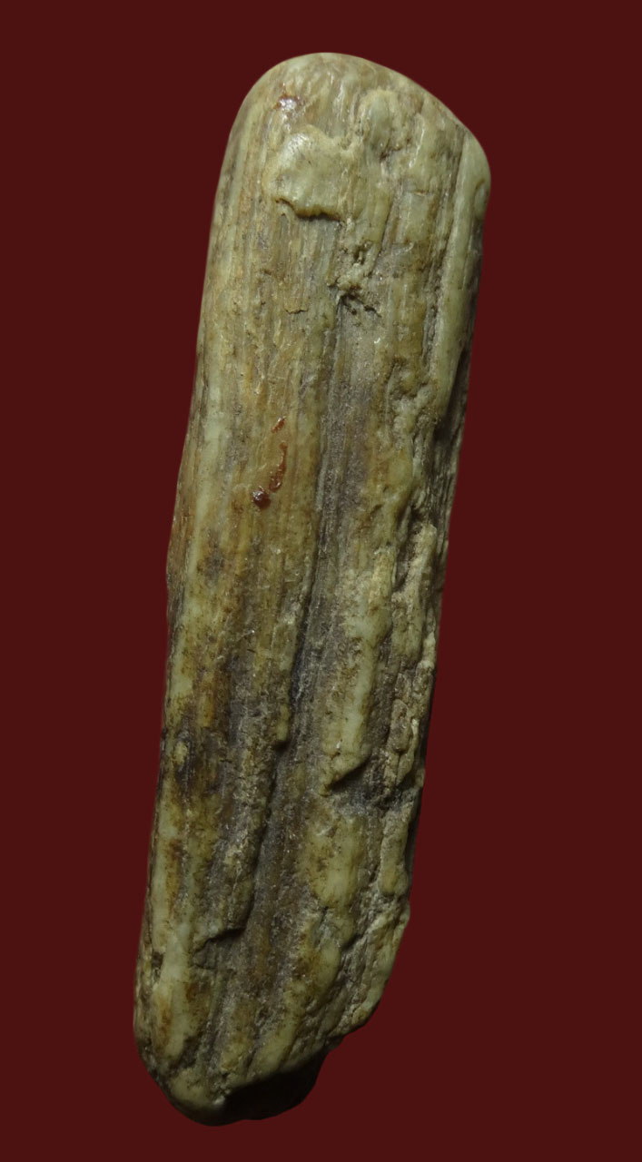 คตล้านนา ของทนสิทธิ์