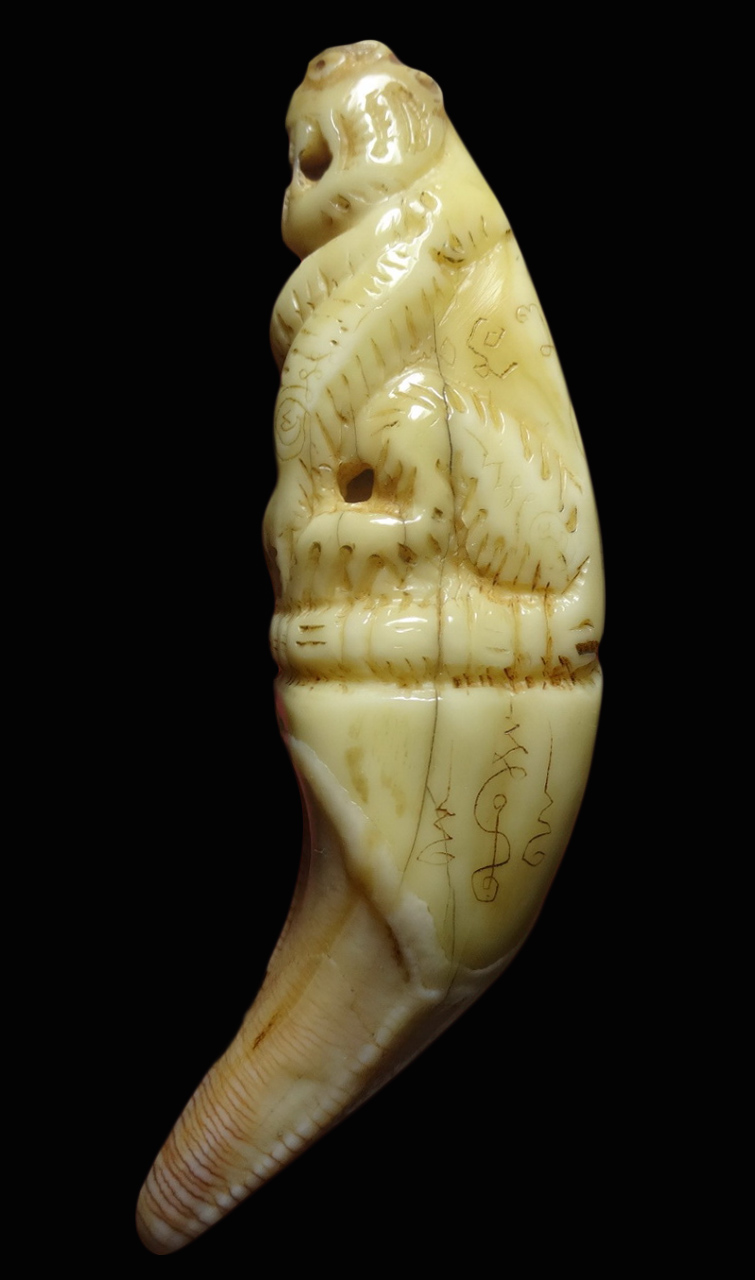 เขี้ยวหมี แกะเสือ หลวงพ่อคง วัดวังสรรพรส