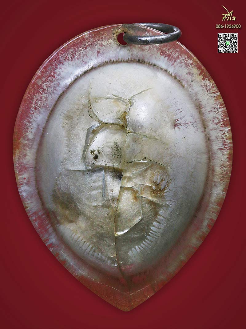 เต่าสำลีครูบาชัยวงค์ วัดพระบาทห้วยต้ม 