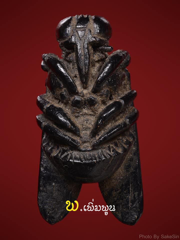แมลงภู่แกะเก่า