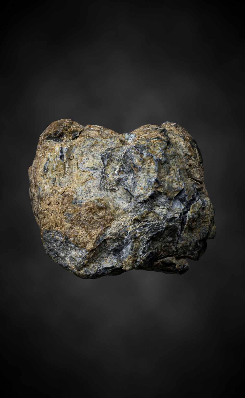 พระรอดสองหน้ากรุพะเยา