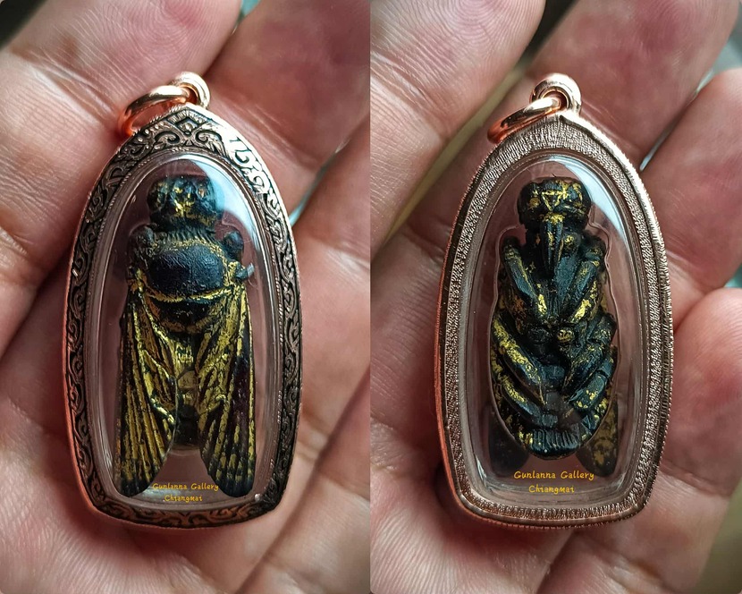 แมลงภู่คำไทใหญ่(ตัวเมีย)ไม้ดุมล้อ