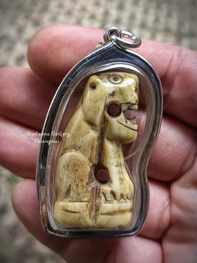 เสือมหาอำนาจครูบาหน้อย วัดบ้านปง1