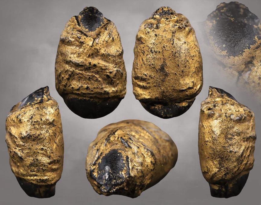 มหาเสน่ห์ศึกชิงนางบนขอนไม้