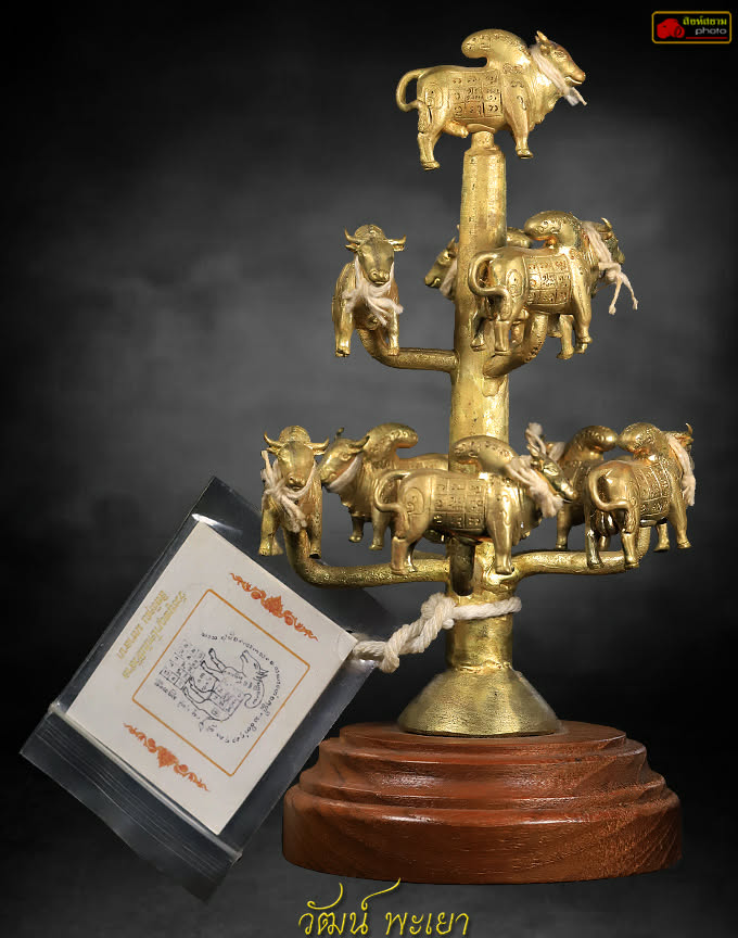 วัวธนูพญาโคนันทิวิสาล สิทธิคุณ มหาลาภ 