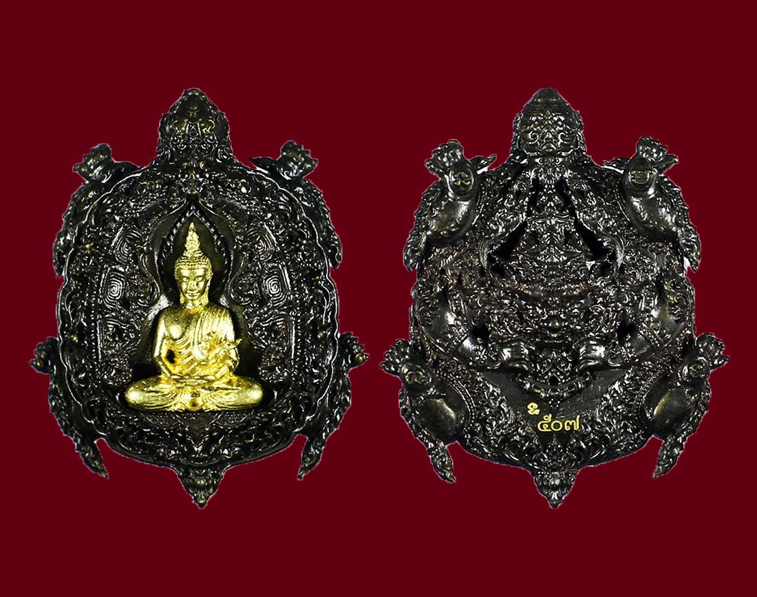 พญาเต่าเรือนเสวยชาติ วัดถ้ำเขาชะอางค์