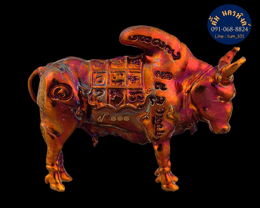 วัวธนูมหามงคล ครูบาคำฝั้น วัดกอโชค เนื้อทองแดงผิวไฟ  จำนวนการสร้าง 599 ตัว