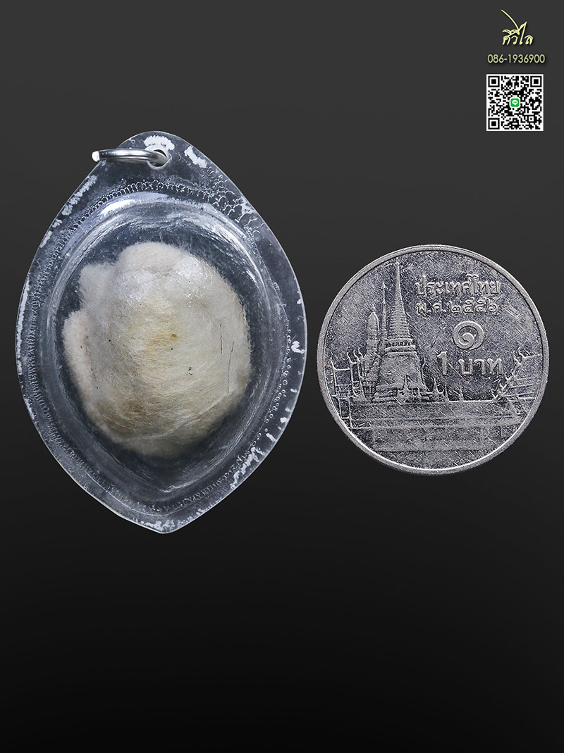 เต่าสำลีครูบาชัยวงค์ วัดพระพุทธบาทห้วยต้ม เลี่ยมเดิมจากวัด