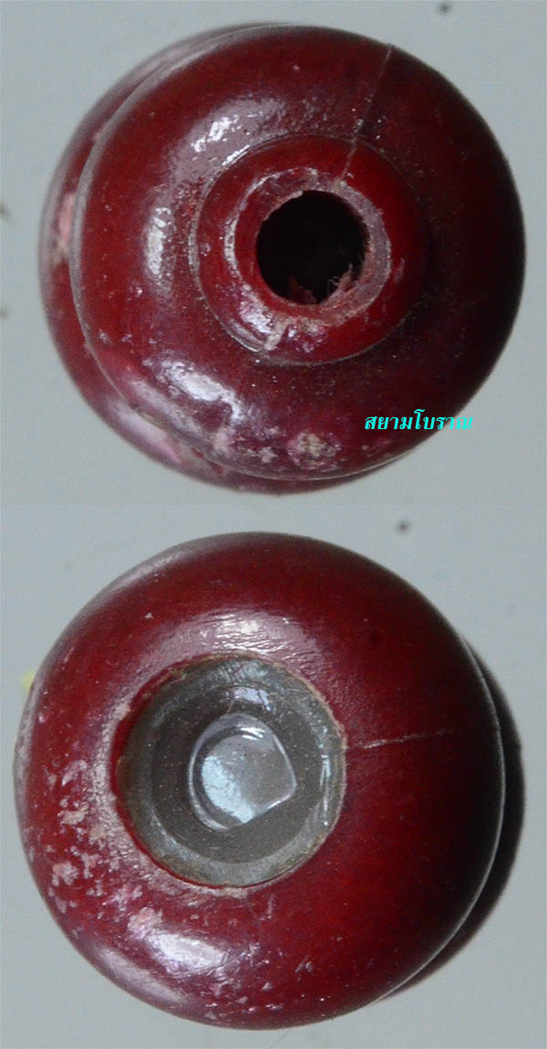 #18031 น้ำเต้าหลวงพ่อสด วัดปากน้ำ