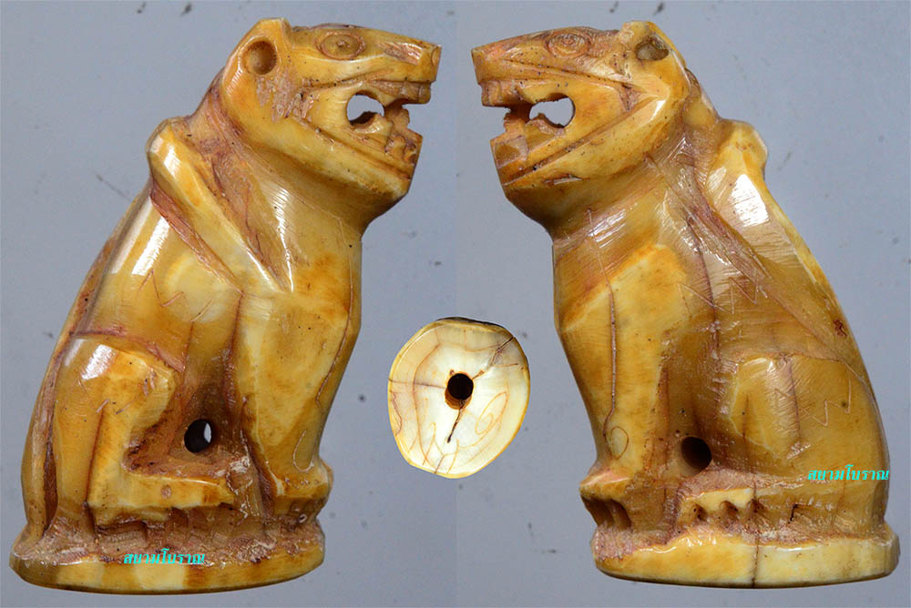 #18055 เขี้ยวสัตว์แกะรูปเสือ สภาพสวย