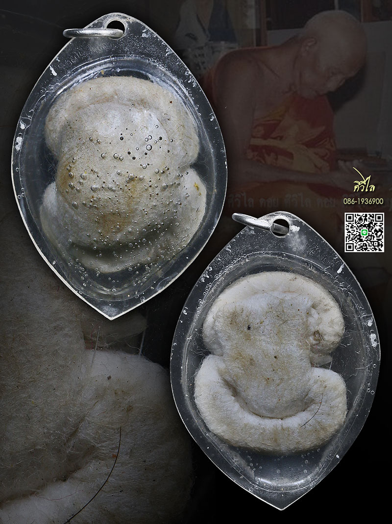 เต่ า สำลี หลวงปู่ครูบาชัยวงศ์ เลี่ยมเดิมจากวัด