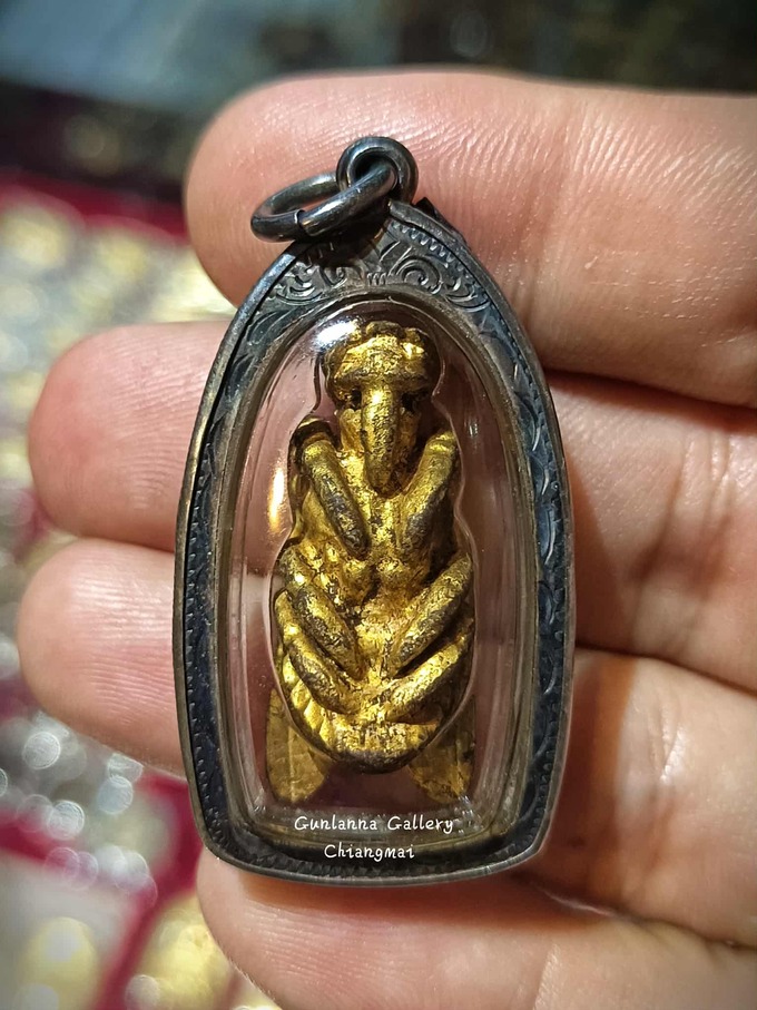 แมลงภู่คำไทยใหญ่(ตัวเมีย)