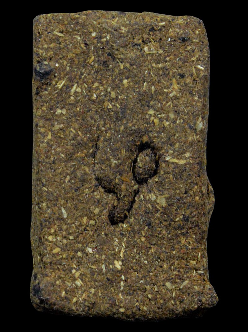 จิ้งจกสองหางมหาเสน่ห์เนื้อว่านยาครูบาต๋า