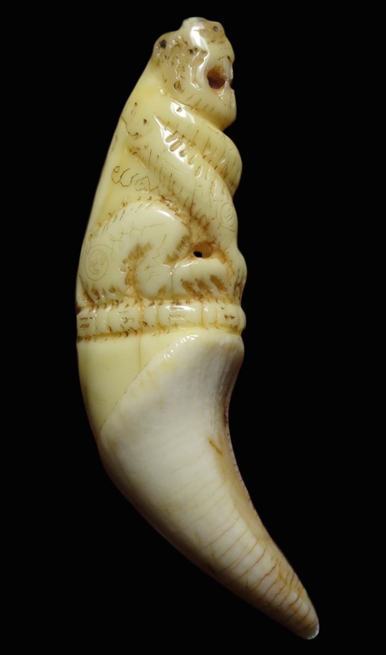 เขี้ยวหมี แกะเสือ หลวงพ่อคง วัดวังสรรพรส