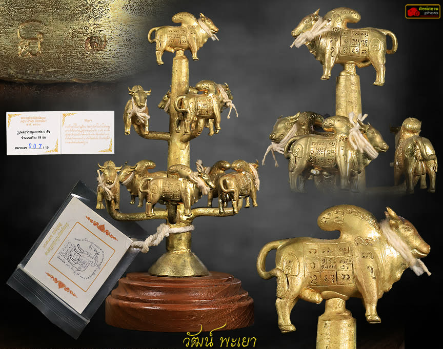 วัวธนูพญาโคนันทิวิสาล สิทธิคุณ มหาลาภ 