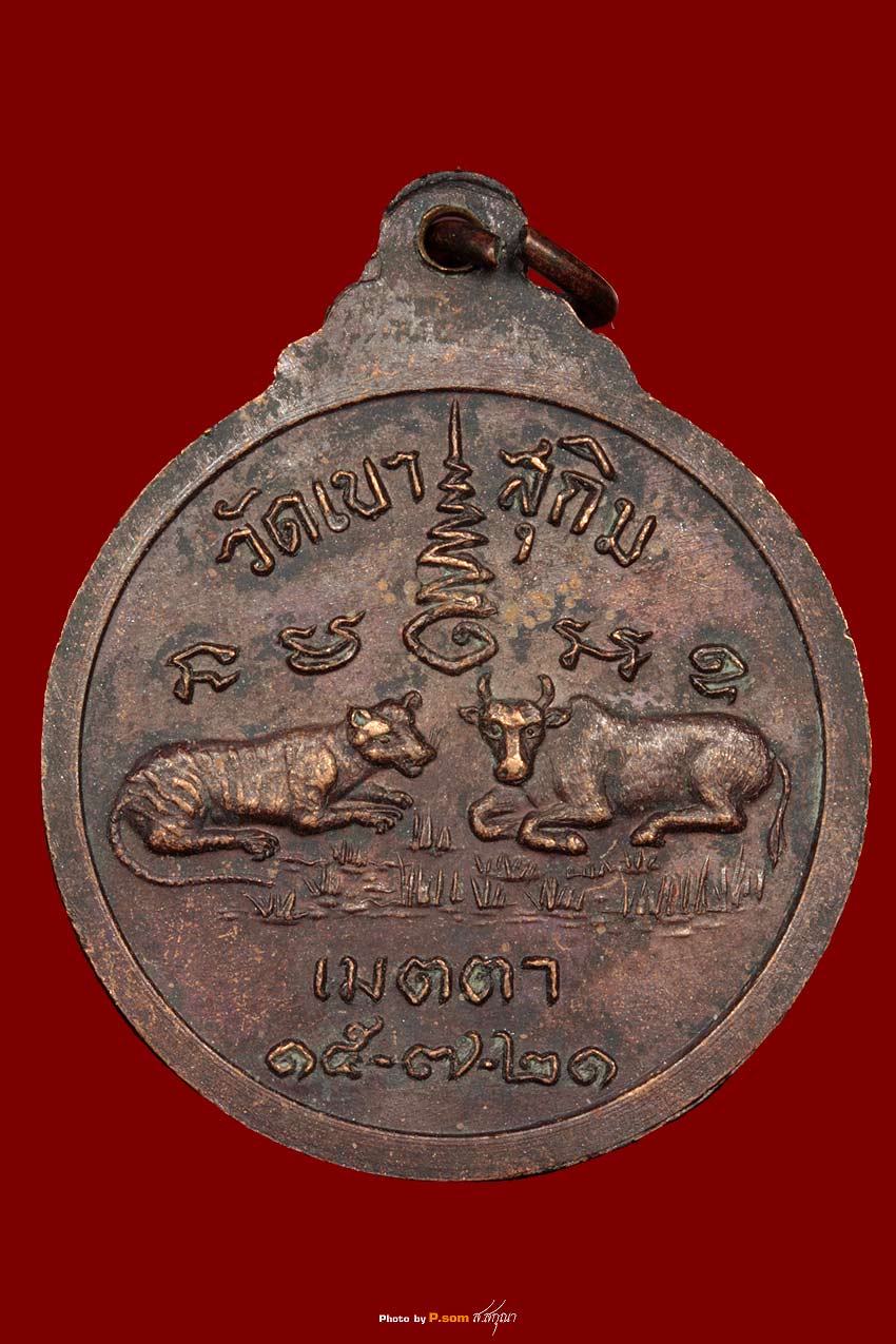 เหรียญเมตตา หลวงพ่อสมชายวัดเขาสุกิม (เสือ วัว)ปี2521 