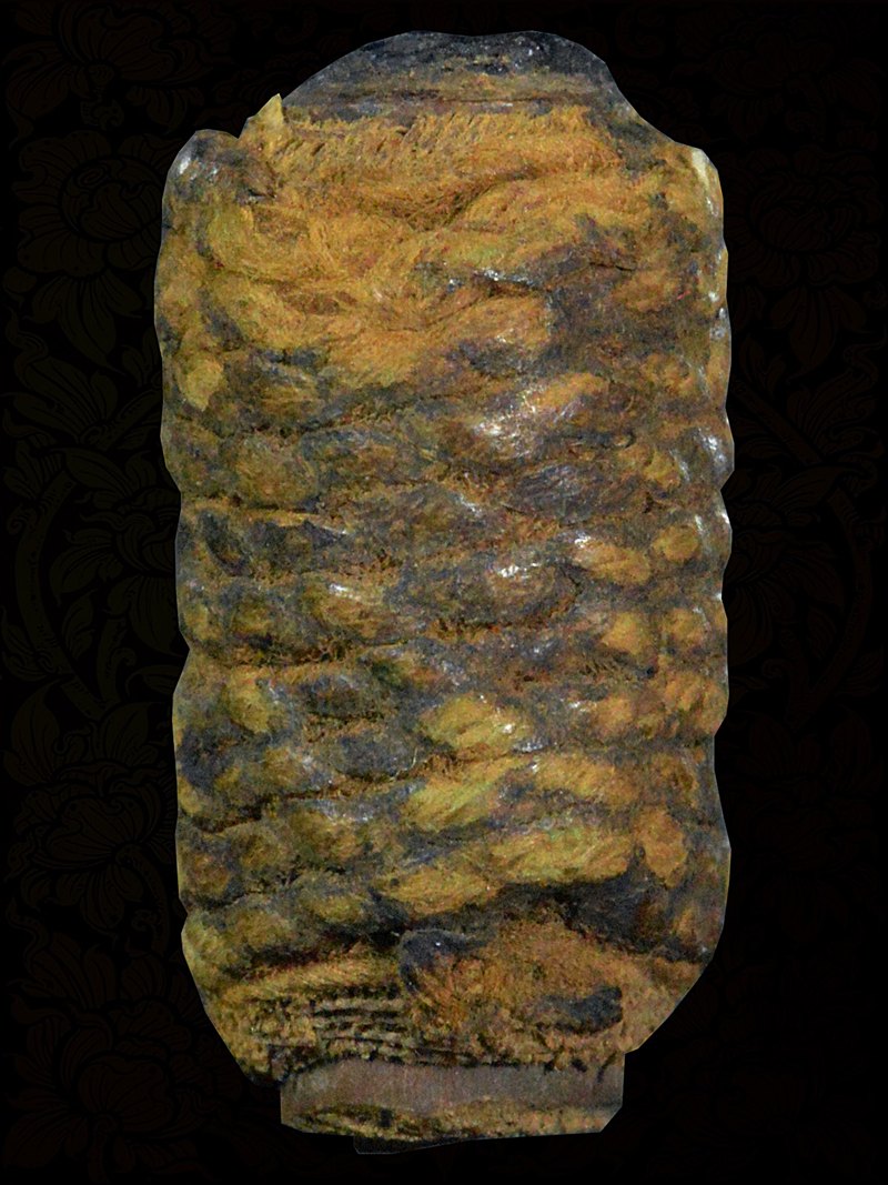 ตะกรุดไม้รวก หลวงปู่จันทร์ วัดนางหนู