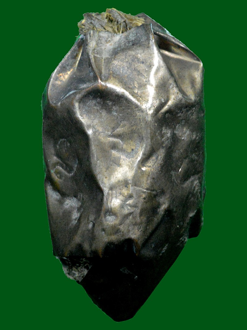 ว่านมงคล หุ้มด้วยแผ่นเงิน ลพ.เกษม เขมโก