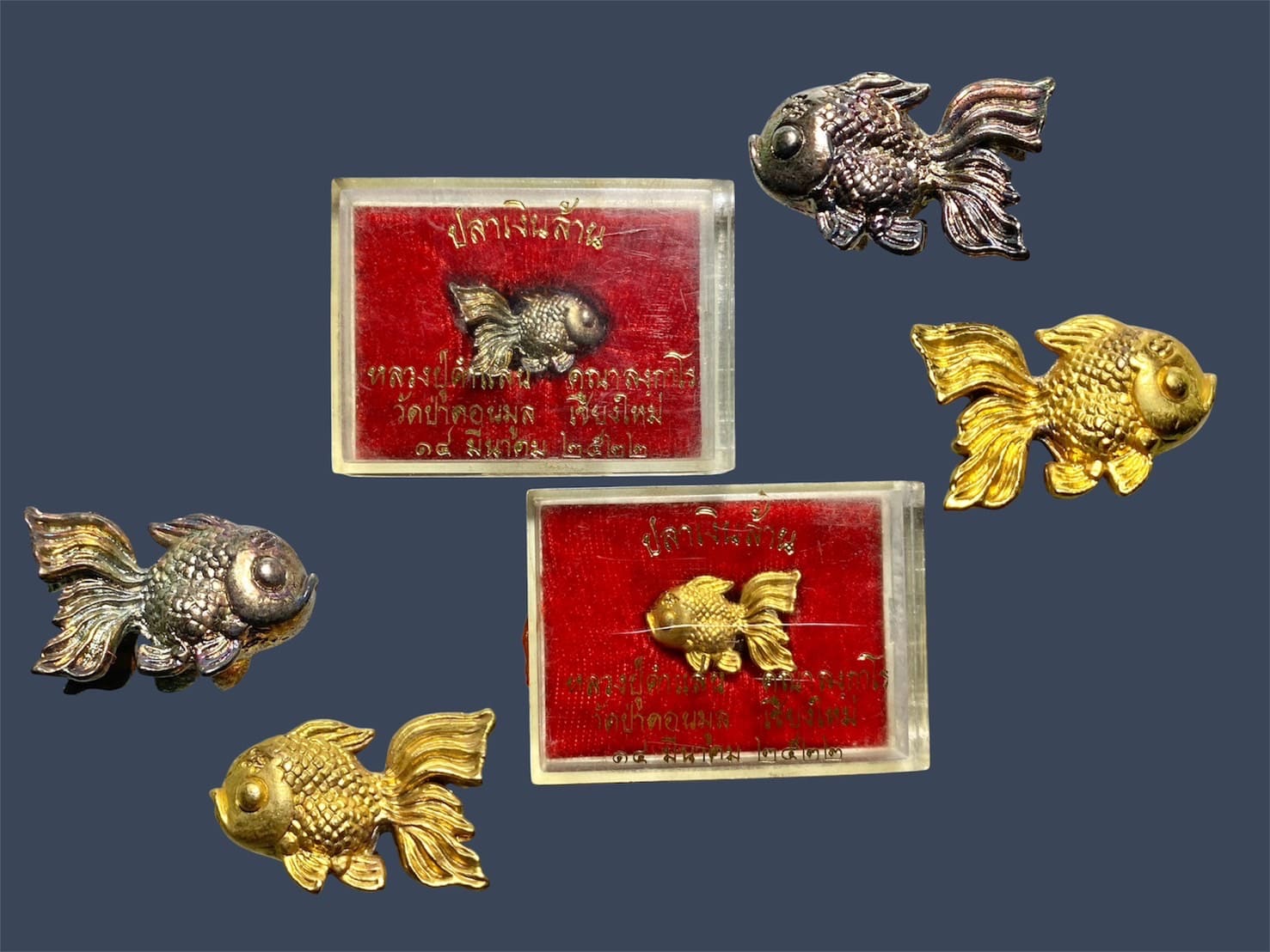 ปลาเงินปลาทองมหาลาภ ครูบาคำแสน คุณาลังกา