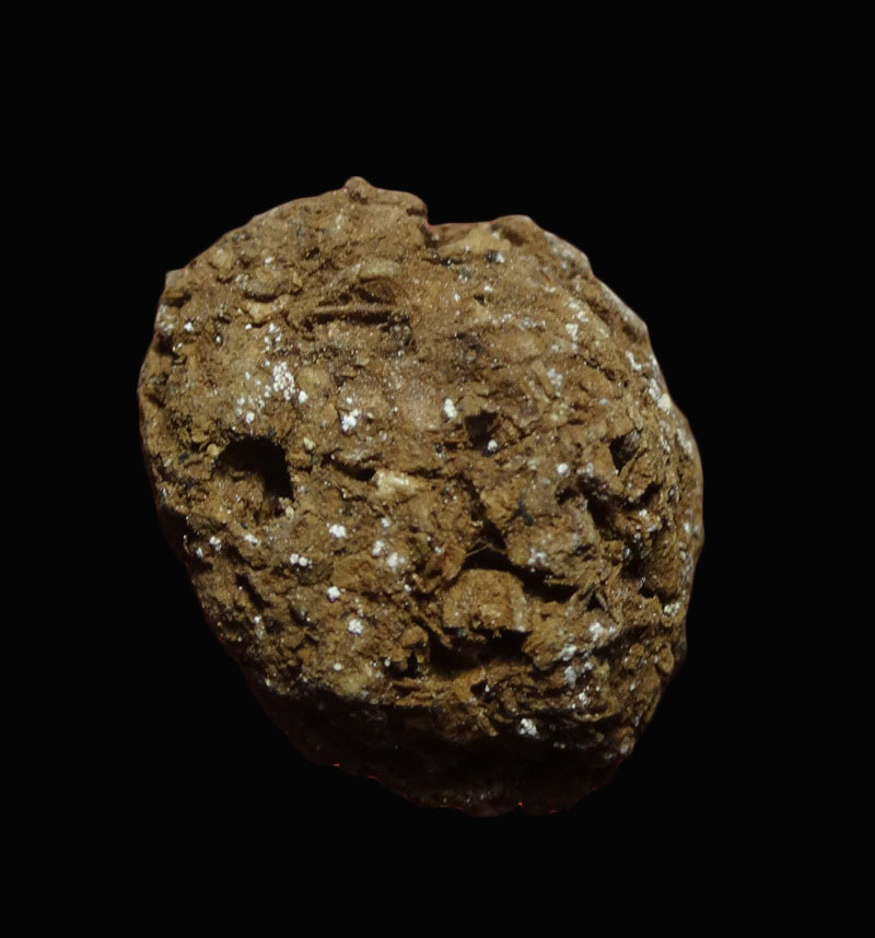 ลูกอมชานหมาก หลวงปู่ทิม วัดพระขาว