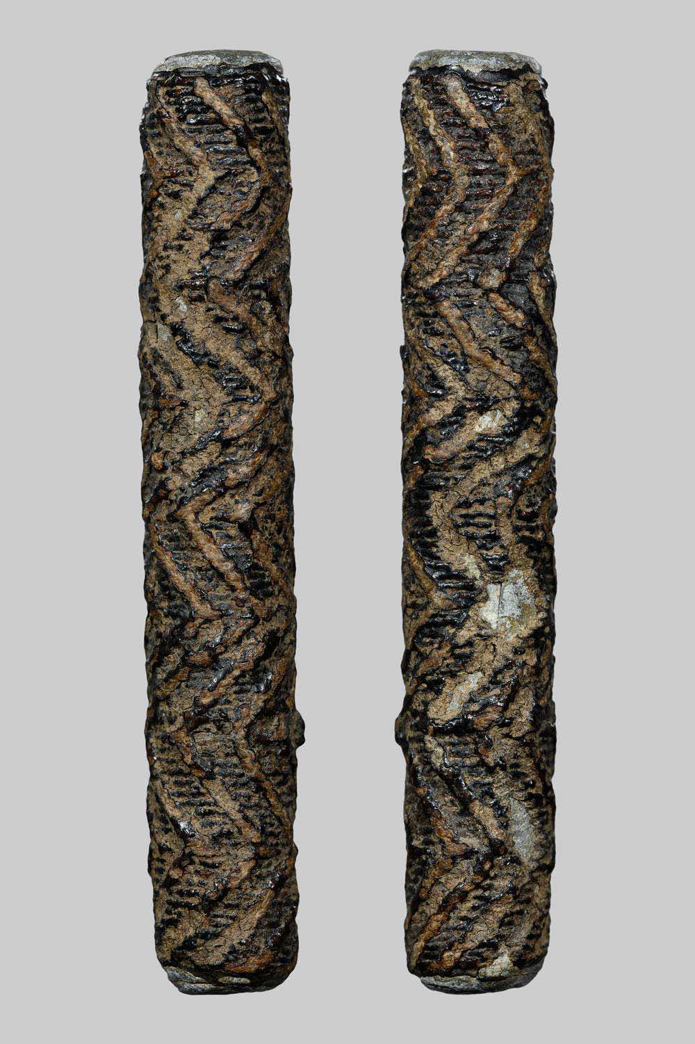 ตะกรุดหลวงปู่ศุขวัดปากคลองมะขามเฒ่า3นิ้ว