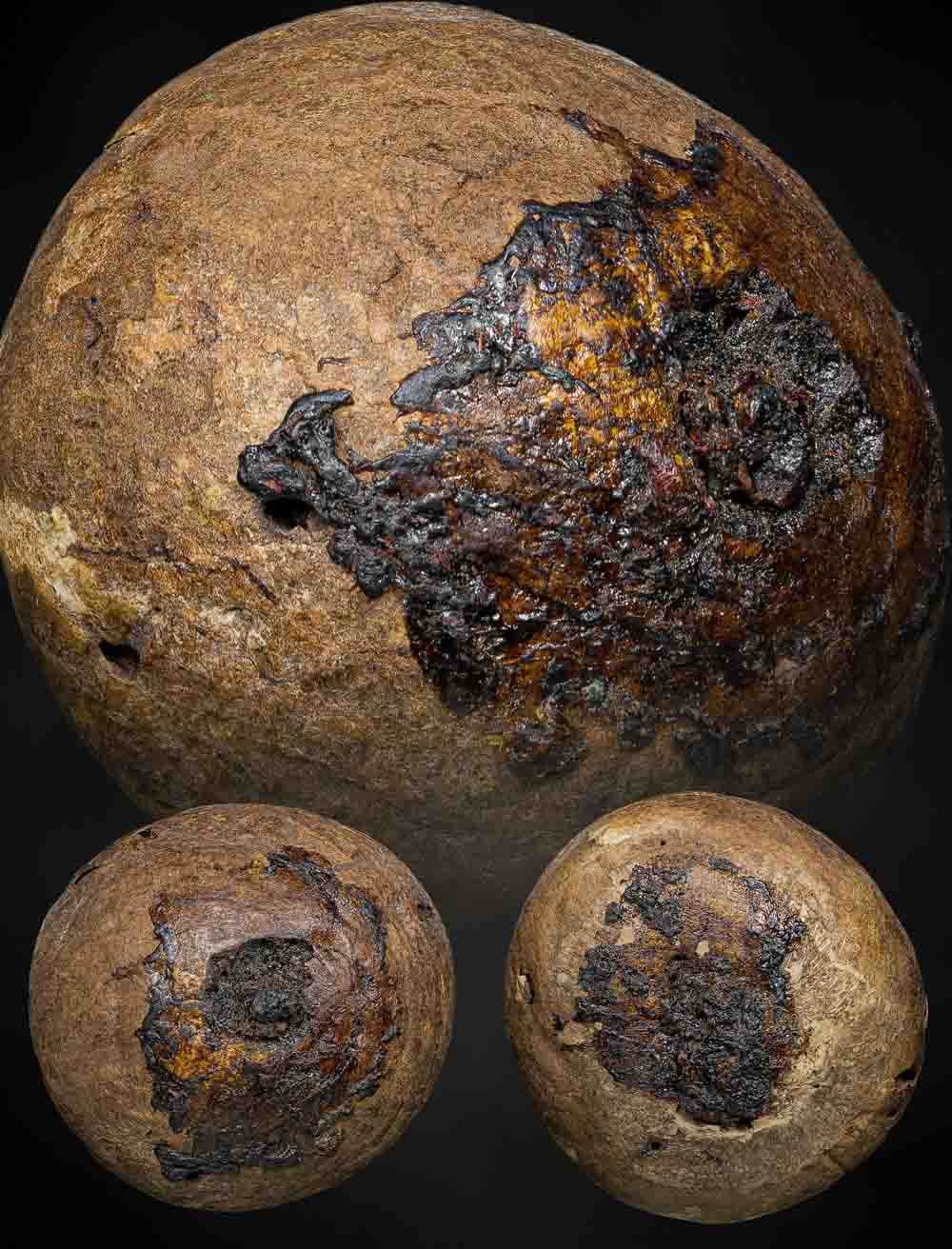 หมากเปลือย