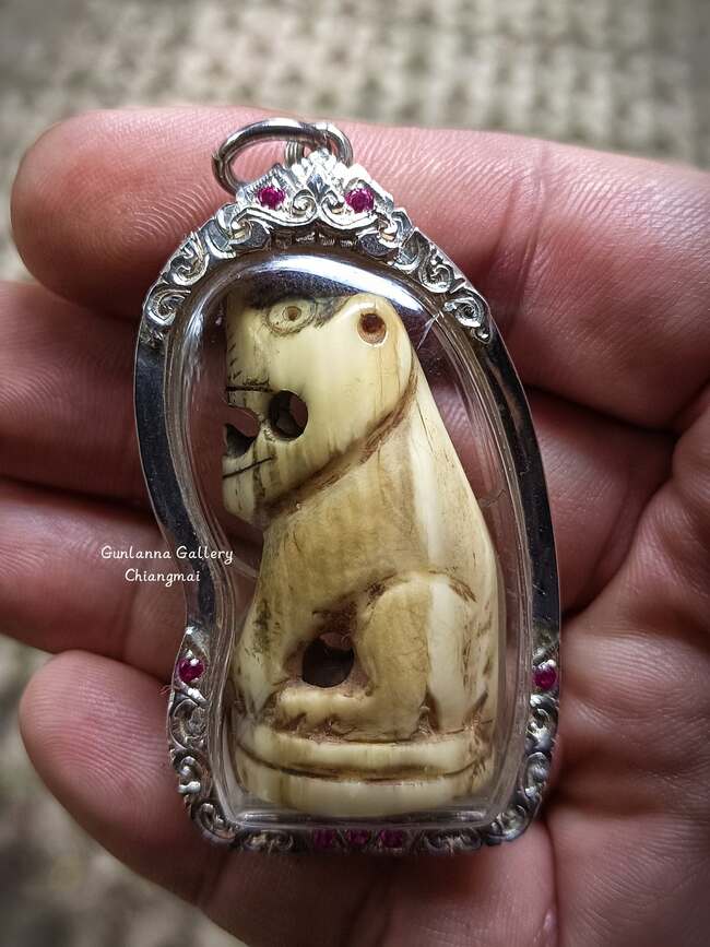 เสือมหาอำนาจครูบาหน้อย วัดบ้านปง1