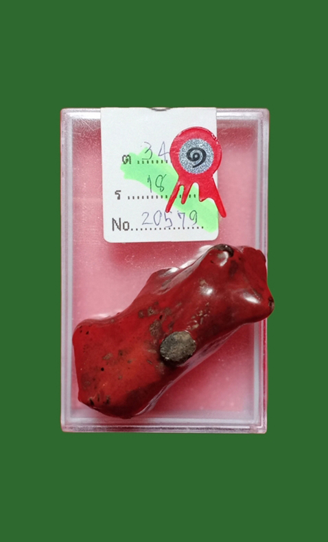 วัวธนูครูบานันตา วัดทุ่งม่านใต้