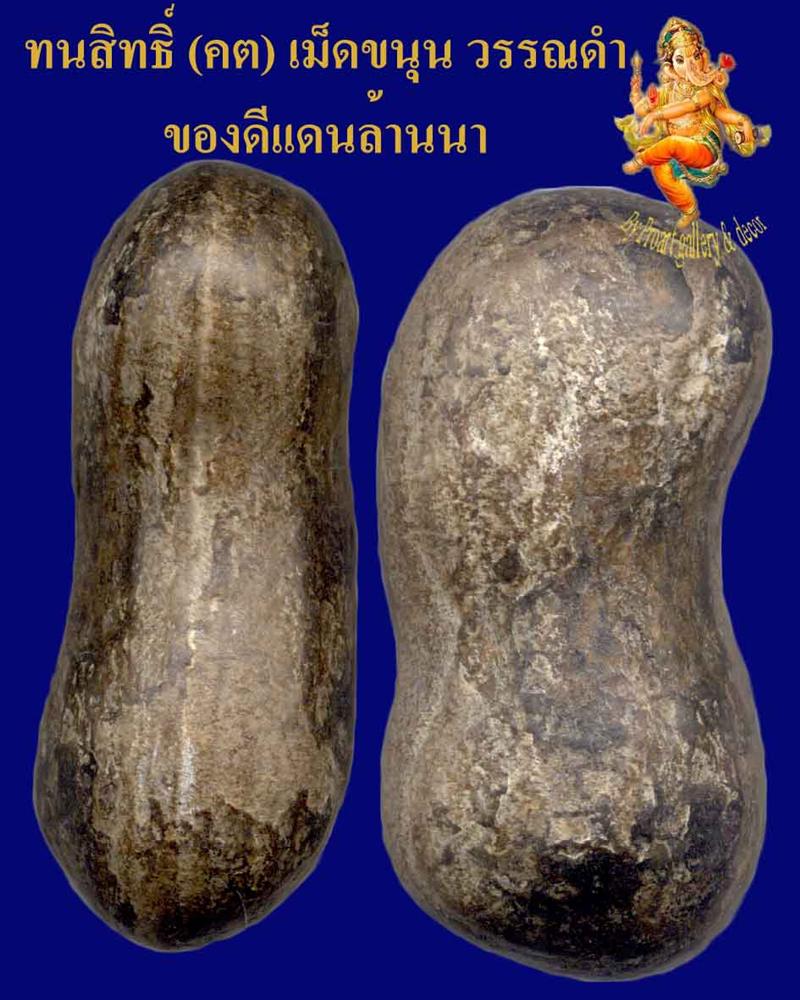 คตเม็ดขนุน ของดีเเดนล้านนา