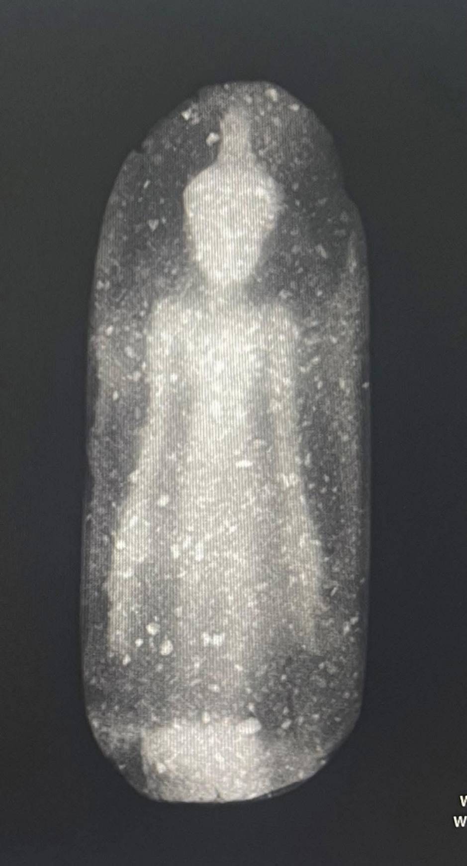 พระร่วงยืนเปิดโลก  กรุเตาทุเรียน