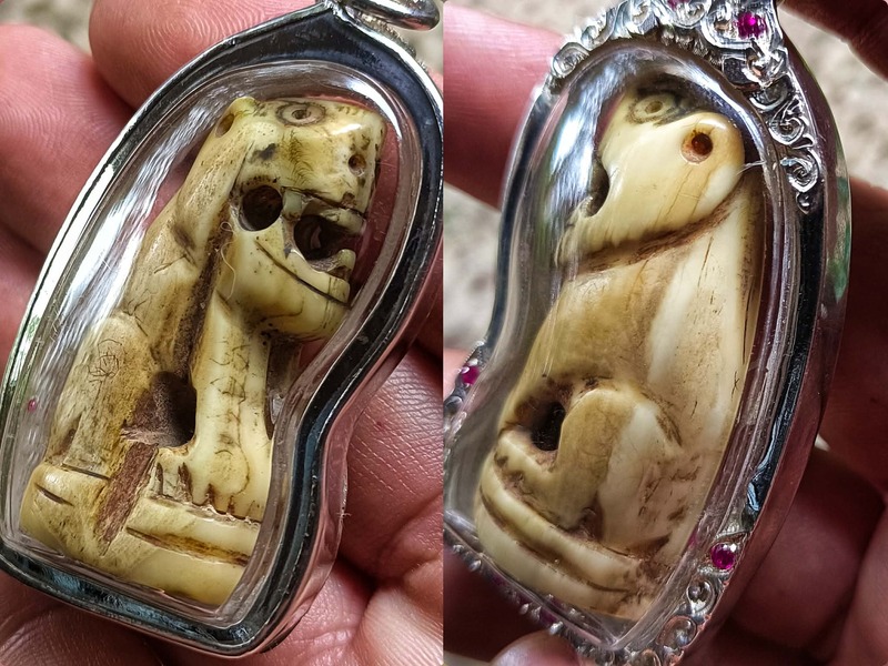 เสือมหาอำนาจครูบาหน้อย วัดบ้านปง1