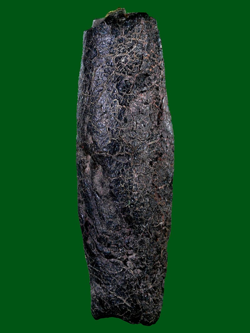 ตะกรุดโทนกาสะท้อน ครูบาอินตา วัดห้วยไซ