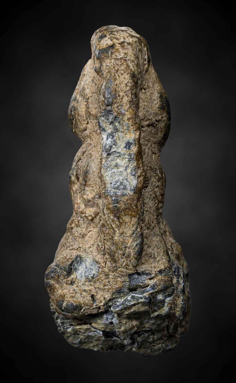 พระรอดสองหน้ากรุพะเยา